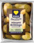 Speisekartoffeln Drillinge Angebote von EDEKA bei Marktkauf Greifswald für 2,00 €