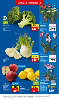 Blumen im Lidl Prospekt "LIDL LOHNT SICH" mit 61 Seiten (Ulm)