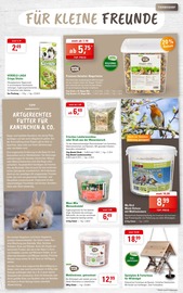Gartendeko im ZG Raiffeisen Prospekt in Ettlingen Aktueller ZG Raiffeisen Prospekt mit Gartendeko, "MUTTERTAG - JETZT ANS SCHENKEN DENKEN", Seite 7