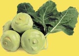 WEZ Bückeburg - Kohlrabi Angebot im Prospekt Kohlrabi bei WEZ im Bückeburg Prospekt für 0,44 €