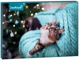 Adventskalender Katze im Angebot bei REWE in Bad Oldesloe Adventskalender Katze Angebote von ZooRoyal bei REWE Bad Oldesloe für 4,99 €