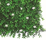 Mur végétal "Jasmin" dans le catalogue Jardiland
