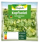 Aktuelle Salat Angebote bei REWE in Essen Aktuelles Wildkräutersalat Angebot bei REWE in Essen ab 1,66 €