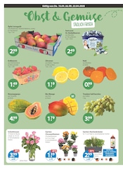 Aktueller V-Markt Prospekt mit Erdbeeren, "V-Markt einfach besser einkaufen", Seite 4