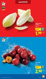 Offre Salade verte dans le catalogue Lidl du moment à la page 5