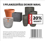 20% RABATT im Blumen Ostmann Prospekt zum Preis von 