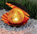 Solar-Dekolicht „Muschel“ von toom im aktuellen toom Baumarkt Prospekt für 9,99 €