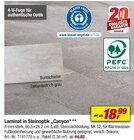 Aktuelles Laminat in Steinoptik "Canyon" Angebot bei toom Baumarkt in Düsseldorf ab 18,99 €