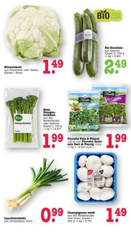 Salat im E center Prospekt "Aktuelle Angebote" mit 73 Seiten (Frankfurt (Main))