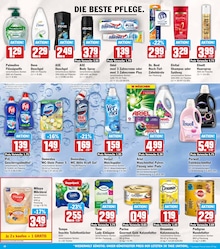 HIT Shampoo im Prospekt 