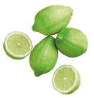 Promo Citrons verts à 1,59 € dans le catalogue Aldi à Bar-le-Duc