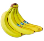 CHIQUITA Bananen Angebote bei Penny Plauen für 1,99 €