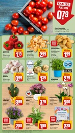REWE Pilze im Prospekt REWE Pilze im Prospekt