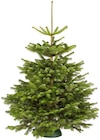 Weihnachtsbaum gesägt bei Hagebaumarkt im Unterföhring Prospekt für 10,00 €