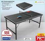 Aktuelles Mini Tischtennisplatte Flexi Angebot bei Netto Marken-Discount in Bielefeld ab 79,99 €