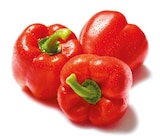 Paprika rot Angebote bei Netto mit dem Scottie Rostock für 1,49 €