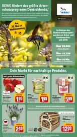 Ähnliche Aquarium Angebote im Prospekt "Dein Markt" von REWE in Garbsen Ähnliche Angebote wie Aquarium im Prospekt "Dein Markt" auf Seite 24 von REWE in Garbsen