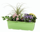 Jardinière de printemps en promo chez Lidl Angers à 14,99 €