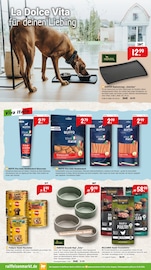 Aktueller Raiffeisenmarkt Prospekt mit Tierfutter, "Für eine grüne Oase und gemütliche Pausen", Seite 3