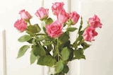 Bouquet de 9 roses en promo chez U Express Bouquet de 9 roses dans le catalogue U Express
