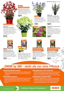 Blumenerde im OBI Prospekt "HERBSTZEIT IST PFLANZZEIT" mit 20 Seiten (Mönchengladbach)