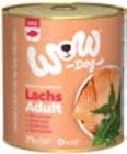 Hundenassfutter von WOW im aktuellen ZooRoyal Prospekt