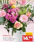 Freudentanz im aktuellen Netto Marken-Discount Prospekt