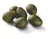 Aktuelles Avocado Angebot bei Lidl in Wuppertal ab 1,99 €