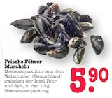 Frische Föhrer-Muscheln von  im aktuellen E center Prospekt für 5,90 €