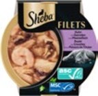 Filets im Angebot bei Kaufland in Hemer Filets Angebote von Sheba bei Kaufland Hemer für 1,00 €