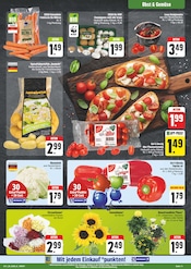 Pflanzen im EDEKA Prospekt in Erlangen Aktueller EDEKA Prospekt mit Pflanzen, "Wir lieben Lebensmittel!", Seite 11