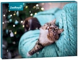 Adventskalender Katze von ZooRoyal für 4,99 € bei REWE im Angebot Adventskalender Katze von ZooRoyal im aktuellen REWE Prospekt