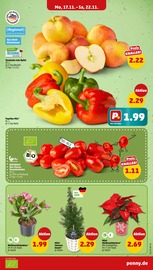 Ähnliche Balkonpflanzen Angebote im Prospekt "Wer günstig will, muss Penny." von Penny in Bergkamen Ähnliche Angebote wie Balkonpflanzen im Prospekt "Wer günstig will, muss Penny." auf Seite 5 von Penny in Bergkamen