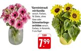 E center Rosenhof - Gerministrauß mit Kamille Angebot im Prospekt Gerministrauß mit Kamille bei E center im Rosenhof Prospekt für 7,99 €