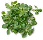 Kaufland - Dtsch. Feldsalat Angebot im Prospekt Dtsch. Feldsalat bei Kaufland im Prospekt "" für 0,99 €