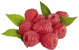 EDEKA - Himbeeren Angebot im Prospekt Himbeeren bei EDEKA im Prospekt "" für 1,99 €