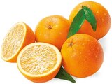 Orangen im aktuellen REWE Prospekt