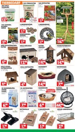 Wild im Wreesmann Prospekt in Cottbus Aktueller Wreesmann Prospekt mit Wild, "DEIN SAISON- & SONDERPOSTENMARKT!", Seite 5