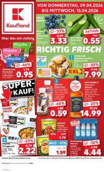 Aktueller Kaufland Prospekt "Aktuelle Angebote" Aktueller Kaufland Prospekt