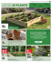 Tomate Angebote im Prospekt "JARDIN LÀ OÙ LA VIE SE CULTIVE" von Carrefour auf Seite 13