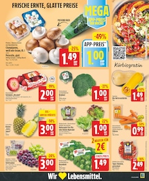 Butternutkürbis Angebot & Preis im aktuellen EDEKA Prospekt Butternutkürbis Angebot im aktuellen EDEKA Prospekt auf Seite 3