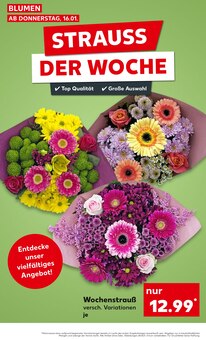 Blumen im Kaufland Prospekt "KNÜLLER" mit 56 Seiten (Bochum)