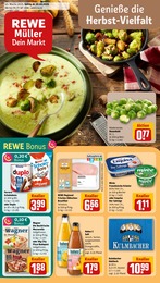REWE Prospekt für Röttenbach mit 30 Seiten REWE Prospekt für Röttenbach: "Dein Markt", 30 Seiten, 20.10.2025 - 25.10.2025