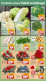 Garten im REWE Prospekt in Aurich Aktueller REWE Prospekt mit Garten, "Dein Markt", Seite 7