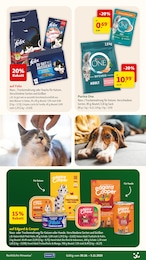 Fressnapf Truthahn im Prospekt Fressnapf Truthahn im Prospekt