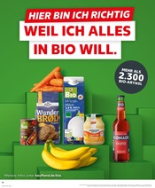 Aktueller Kaufland Supermarkt Prospekt in Kamenz und Umgebung, "KNÜLLER" mit 44 Seiten, 04.08.2025 - 06.08.2025