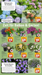 Sky Angebot im aktuellen REWE Prospekt auf Seite 6