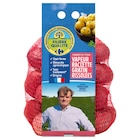 Pomme de terre de consommation rouge à chair ferme FILIÈRE QUALITÉ CARREFOUR - FILIERE QUALITE CARF - Carrefour à Stains Pomme de terre de consommation rouge à chair ferme FILIÈRE QUALITÉ CARREFOUR - FILIERE QUALITE CARF en promo chez Carrefour Stains à 2,49 €
