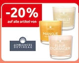 Aktuelles Kerzen Angebot bei E center in Mainz