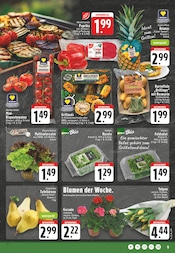 Aktueller EDEKA Prospekt mit Tulpen, "Aktuelle Angebote", Seite 9